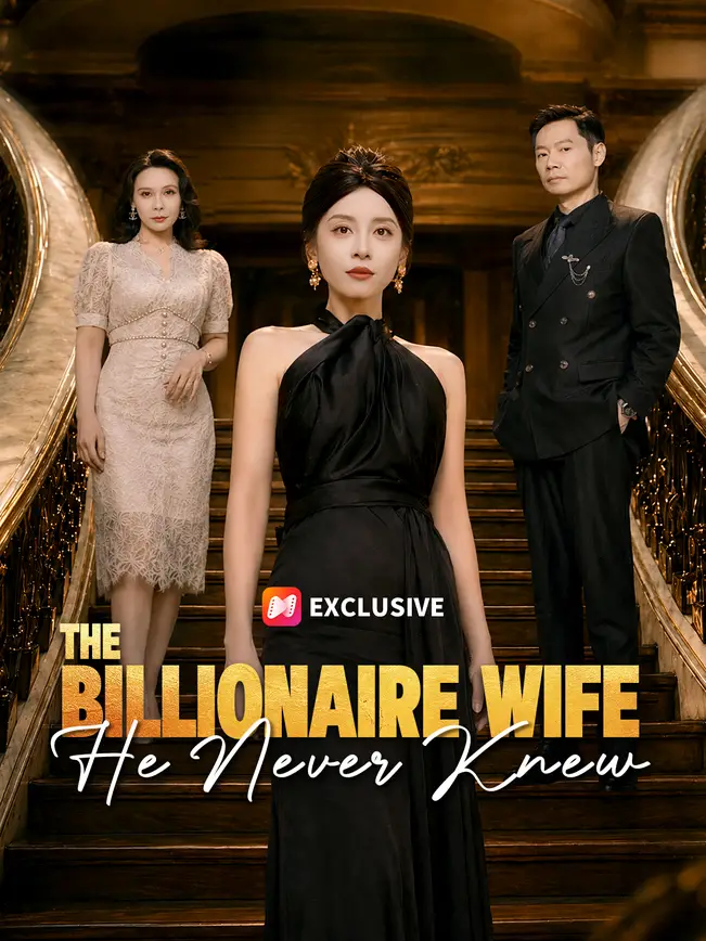 The Billionaire Wife He Never Knew poster