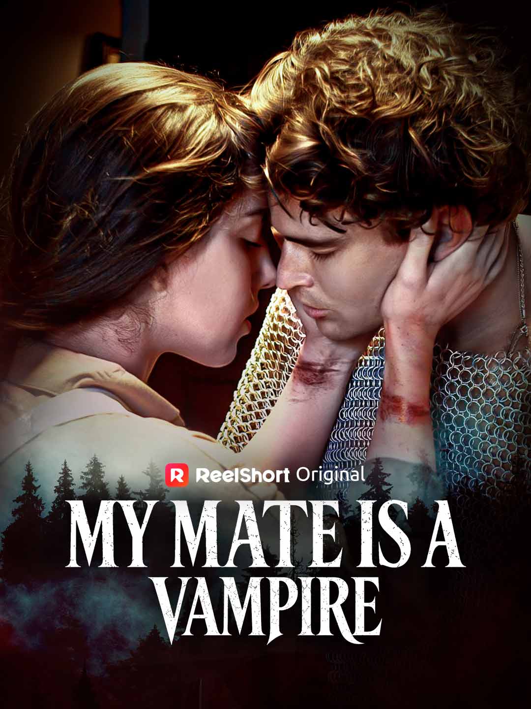 My Mate is a Vampire poster
