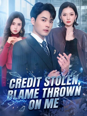 Credit Stolen, Blame Thrown on Me poster