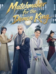 Matchmaker for the Demon King poster