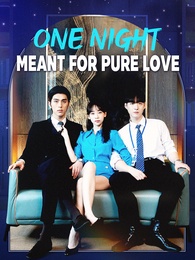One Night Meant for Pure Love poster