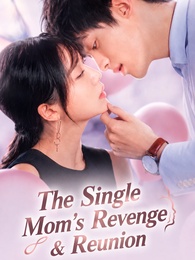 The Single Mom’s Revenge & Reunion poster