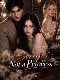 Sorry, Not a Princess poster