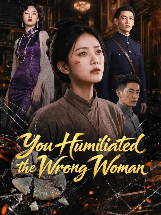 You Humiliated the Wrong Woman poster
